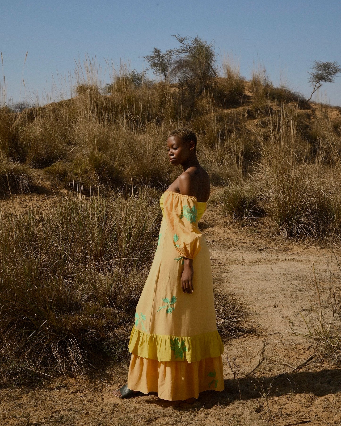 Angelique Dress