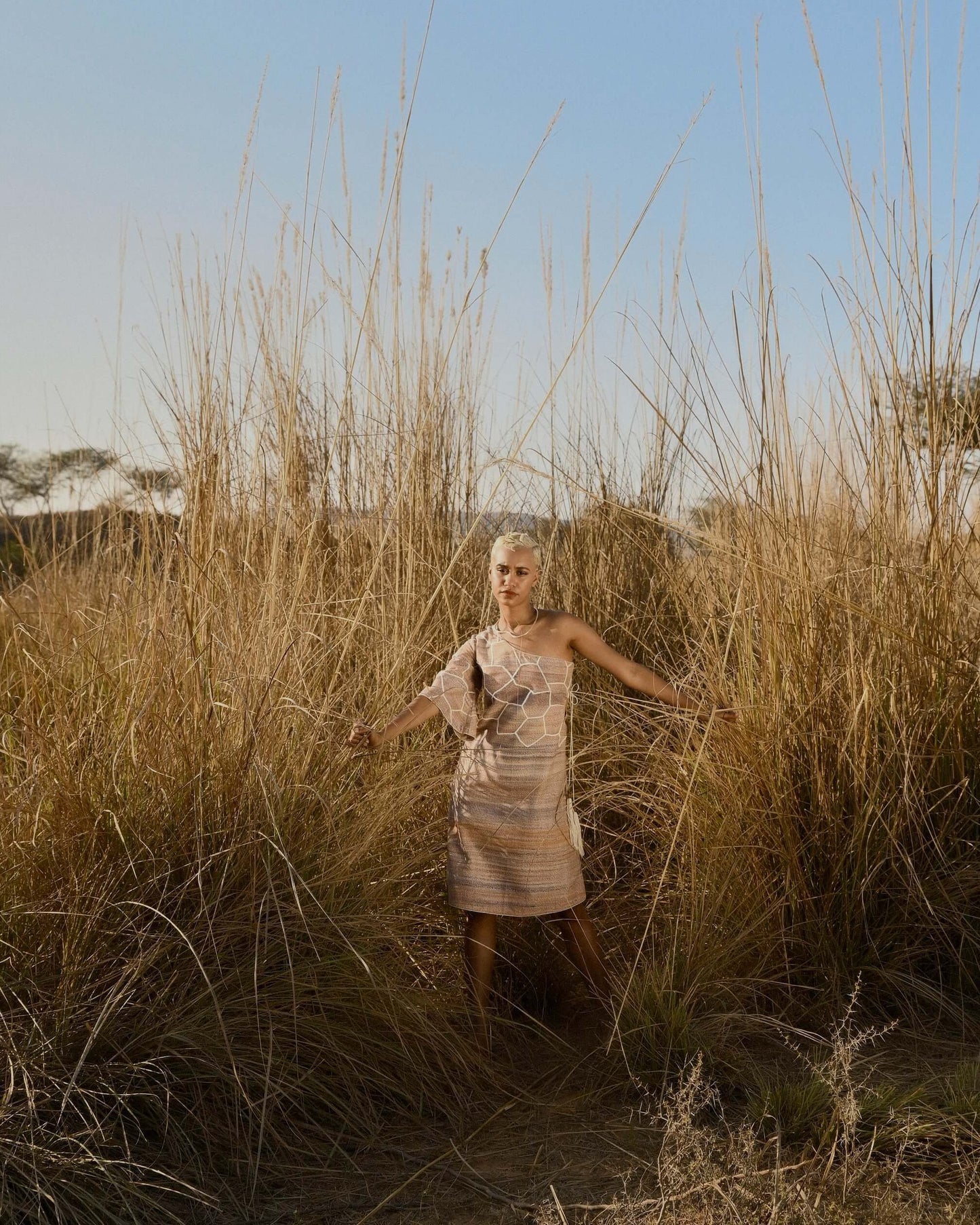 Gazelle Dress