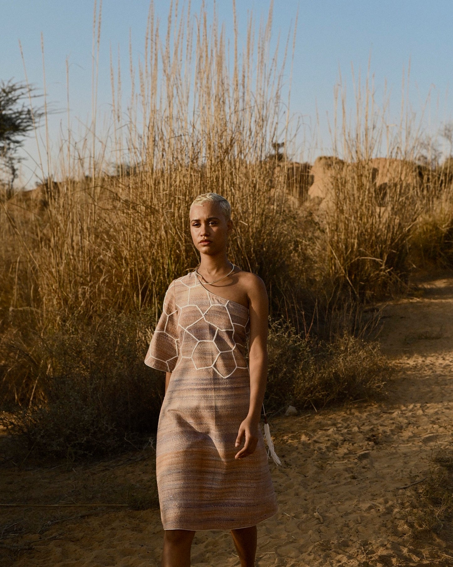 Gazelle Dress