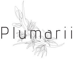 Plumarii Studio